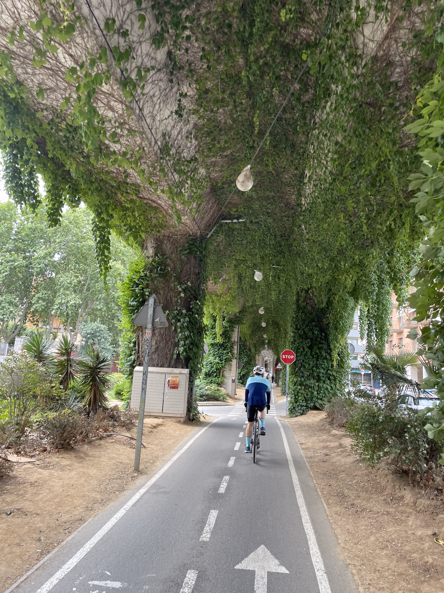 hunter on bike path