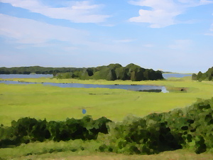 Cape Code bayside